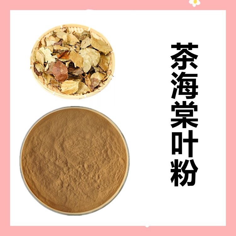 茶海棠叶粉  比例可定制 质量稳定 纸板桶包装 食品原料工厂