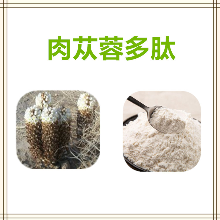 沃特莱斯生物 肉苁蓉多肽 水溶性粉末 多规格订制 可寄样