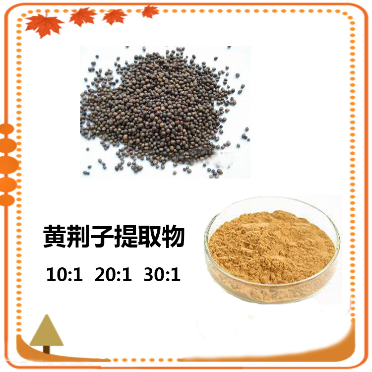 地椒草提取物 10:1 水提 多规格比例 地椒草粉地椒草浓缩粉