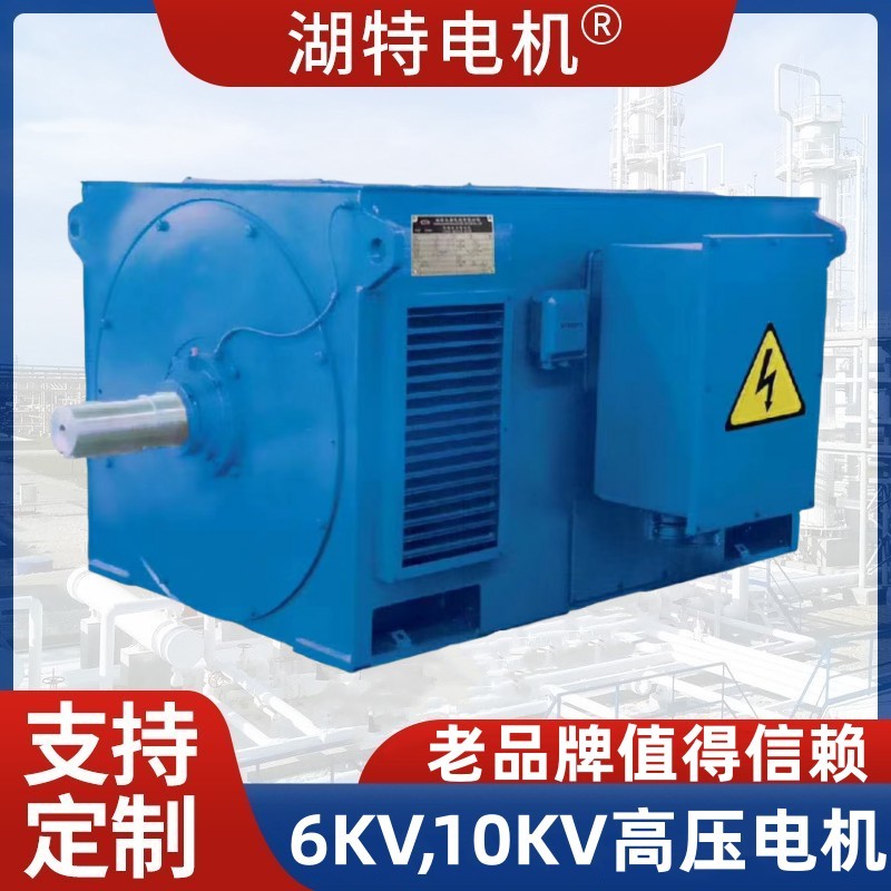 3kV、6kV、10kV高压三相异步电动机