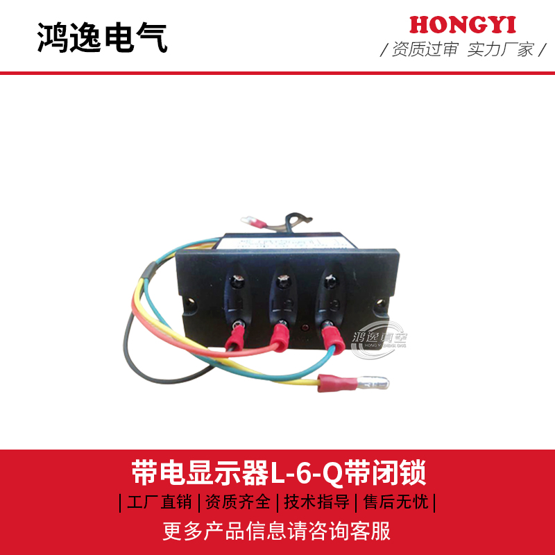 带电显示器L-6-Q带闭锁