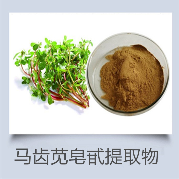 乌梢蛇粉 乌梅提取物 西梅粉 纯粉 工厂发货