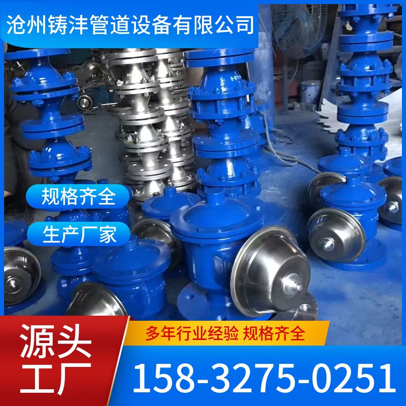 阻火器 多规格样式全 现货 铸沣管道