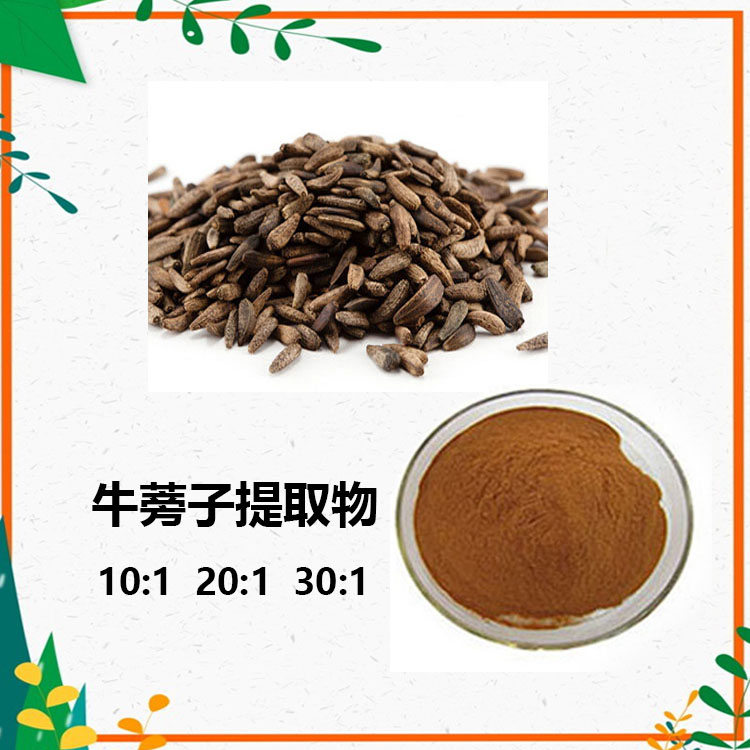 牛蒡根提取物 10:1 水提 牛蒡子粉 牛蒡子多糖 30%