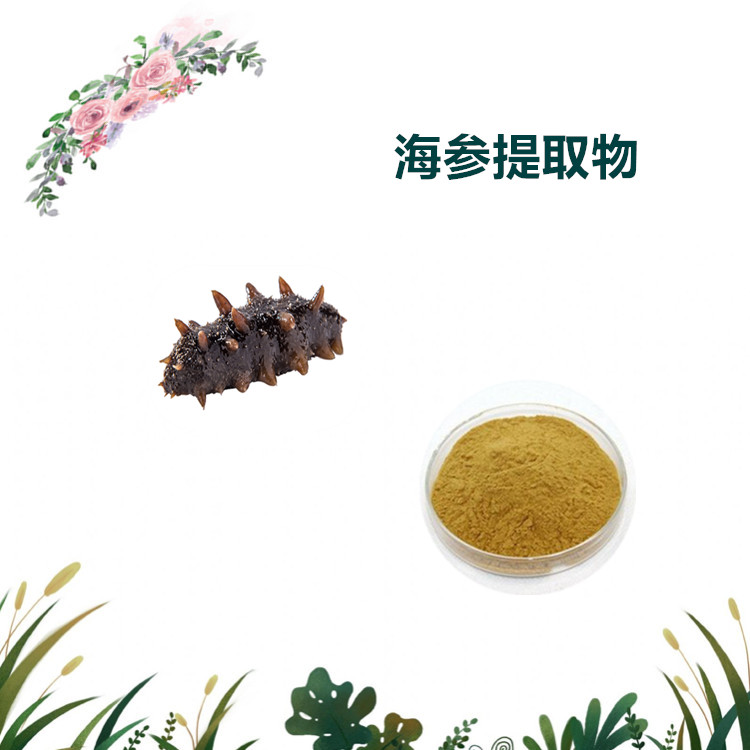 沃特莱斯生物 海参提取物 萃取粉 浸膏粉 水溶性好 可定制