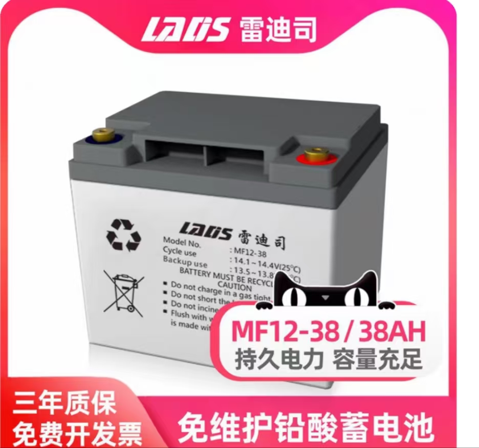 雷迪司蓄电池12V38AH
