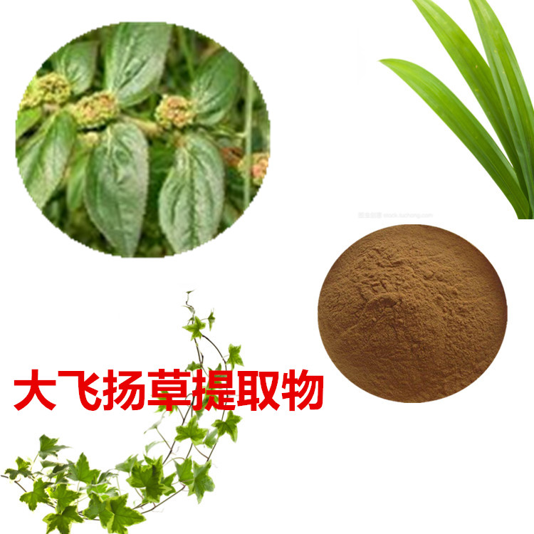 大飞扬草提取物 10:1 水提 大飞扬草粉 大飞扬草浸膏 1.13比重