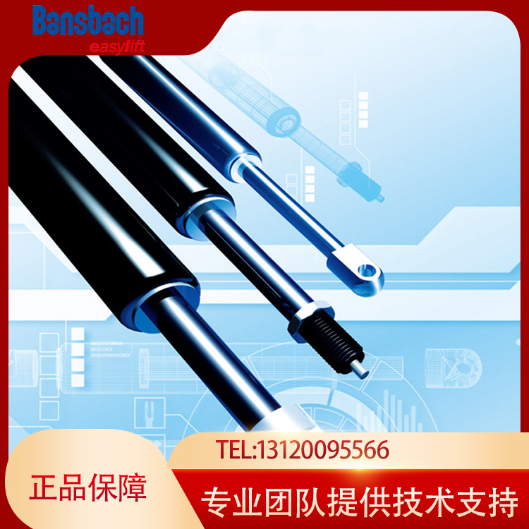 励磁提供bansbach，原装进口，正品保证