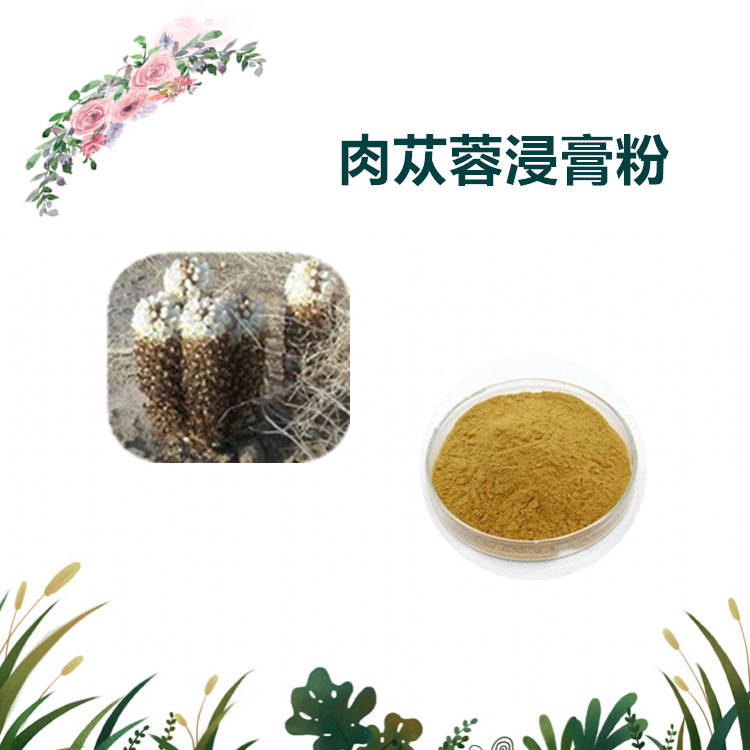 沃特莱斯生物 肉苁蓉提取物 速溶粉 萃取粉 1公斤起订 可寄样