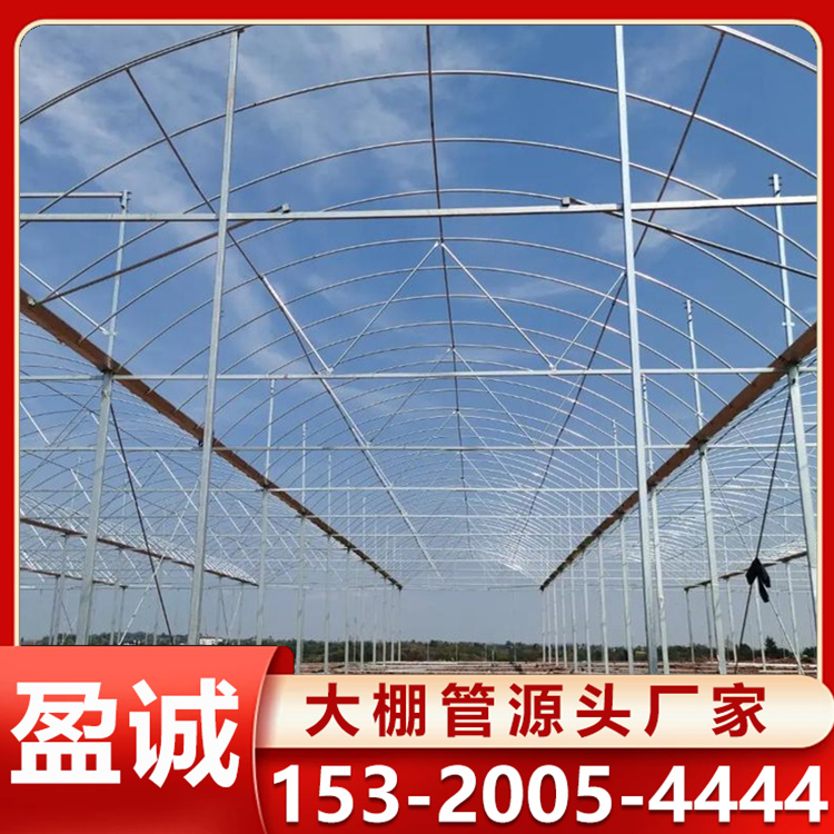 薄膜连栋大棚 抗雪性能较好 大棚材料 外形简洁美观