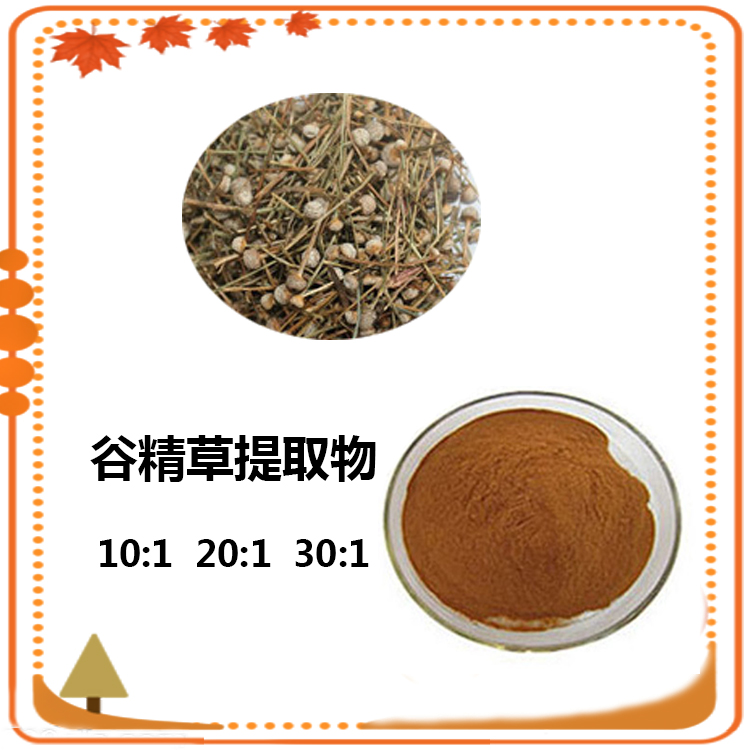 谷精草提取物 10:1 水提 谷精草浸膏 谷精草浓缩粉