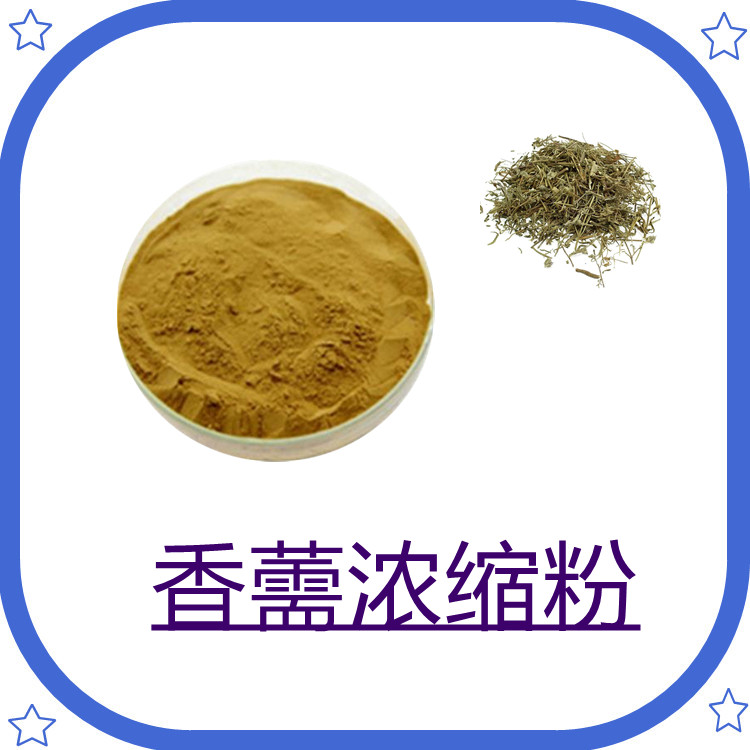 香薷浓缩粉   食品级    比例产品  三遍水提   粉末流动性好   固体饮料