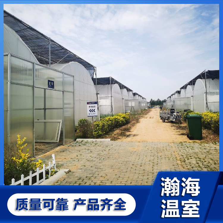 蔬菜大棚  塑料大棚 花卉大棚 瀚海温室