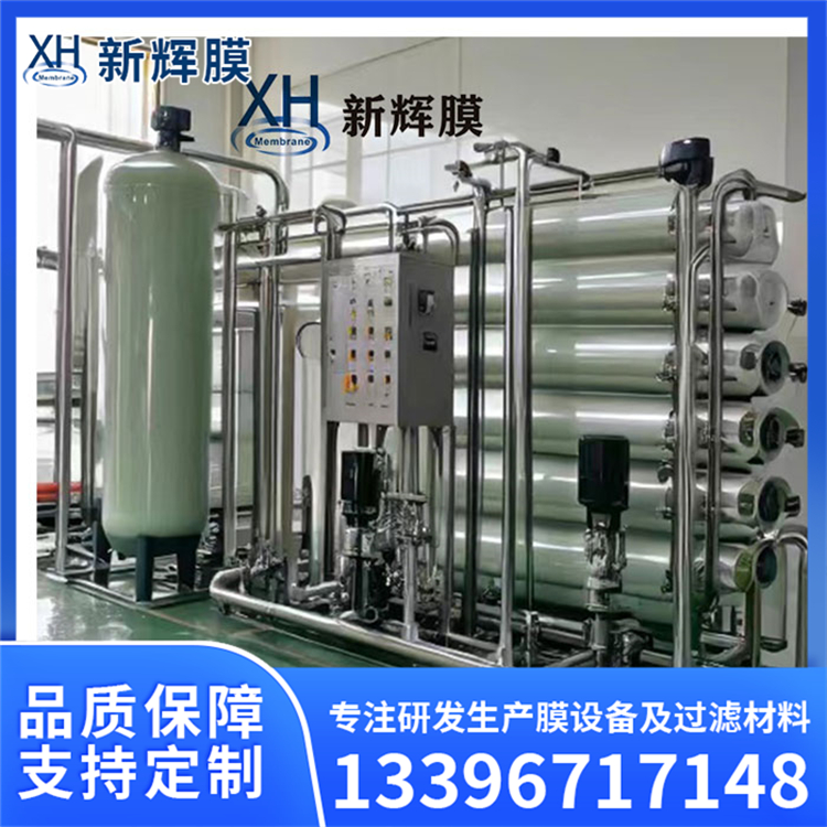反渗透纯水机 纯净水去离子装置 能耗低节能环保 新辉膜