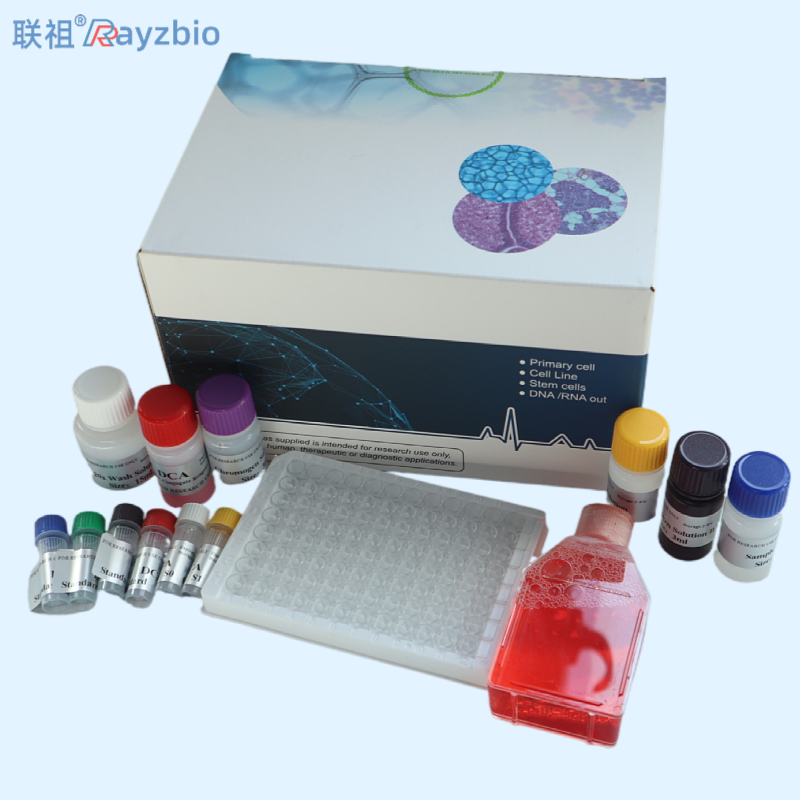 PCR检测试剂盒价格