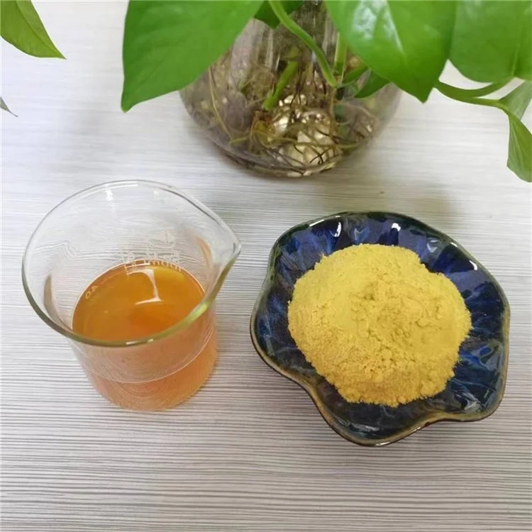 沙棘粉 果汁粉浓缩粉 斯诺特生物 三方外检随货