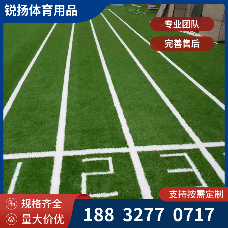足球场 学校 操场 运动场 渗水率＞3mm/min 围栏人工草