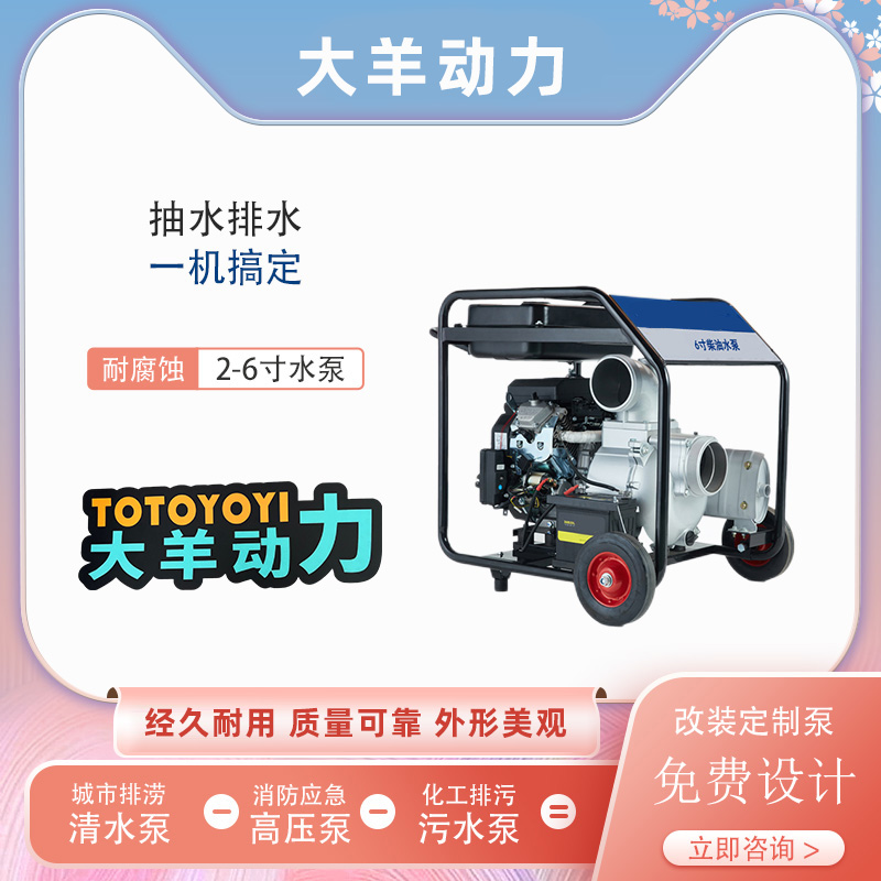 大羊动力2寸汽油水泵