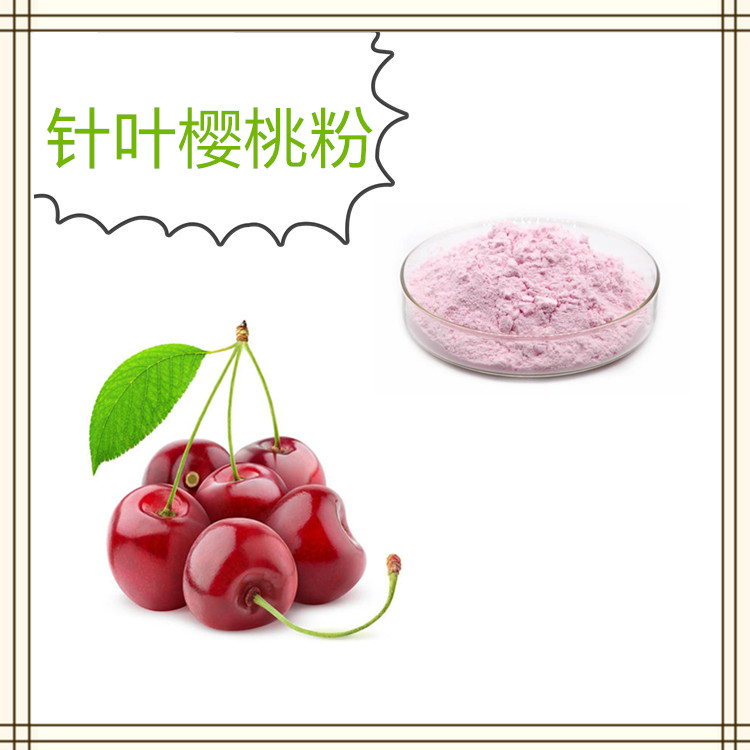 针叶樱桃粉 水果蔬菜酵素粉 斯诺特生物 固体饮料定制