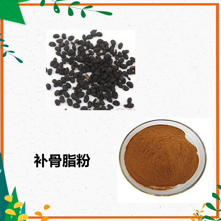 补骨脂提取物 10:1 水提 补骨脂粉 补骨脂浓缩粉