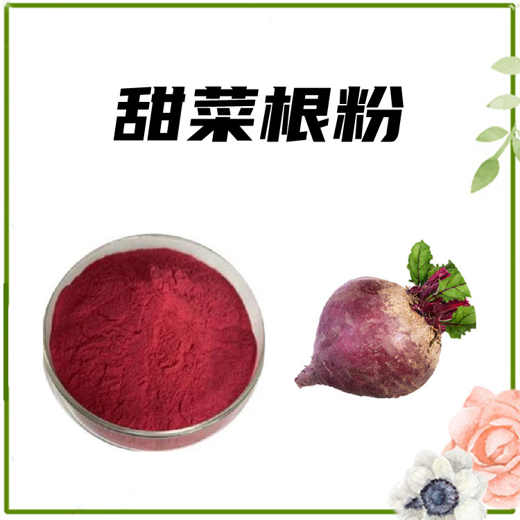 甜菜根粉  植物提取物 包装检测全程把关 质量稳定 水溶性好