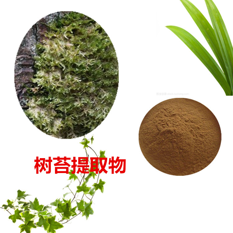 树苔提取物 10:1 水提 多规格比例 树苔粉 100目
