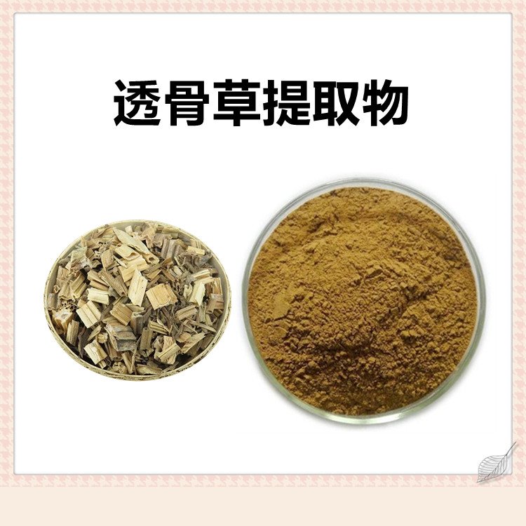 透骨草提取物 10:1 水提 透骨草粉 透骨草浸膏