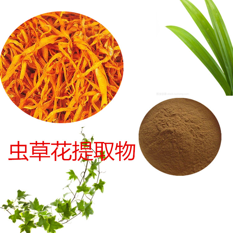 虫草子实体提取物 10：1 水提 虫草子实体粉 98% 虫草粉
