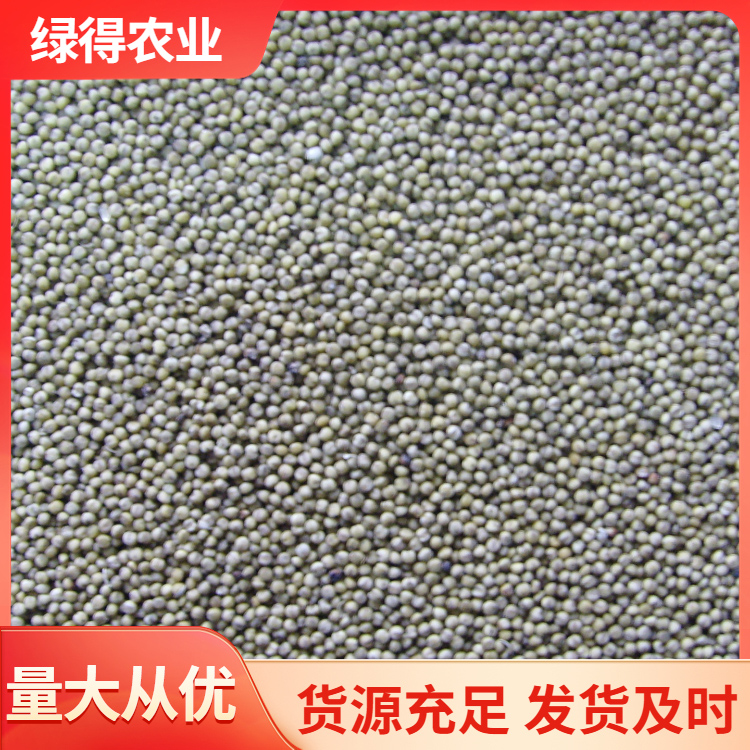黑谷种子 五谷杂粮基地种植 批发出售
