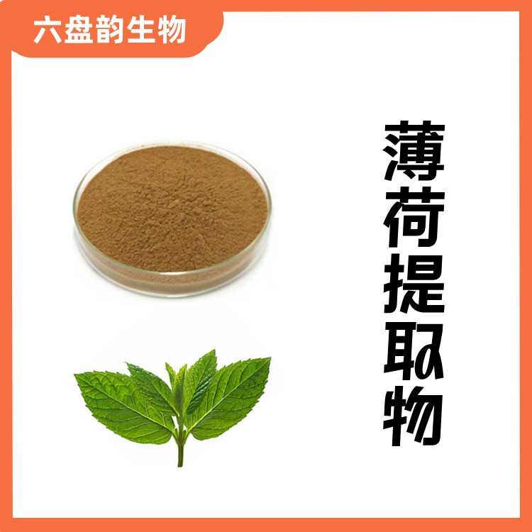 薄荷提取物 质量稳定 粉末细腻 过100目筛 六盘韵库存充足