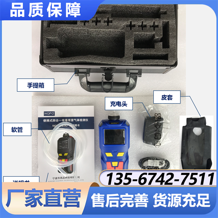 NGP40-H2S便携四合一 泵吸硫化氢检测仪 可燃气报警仪