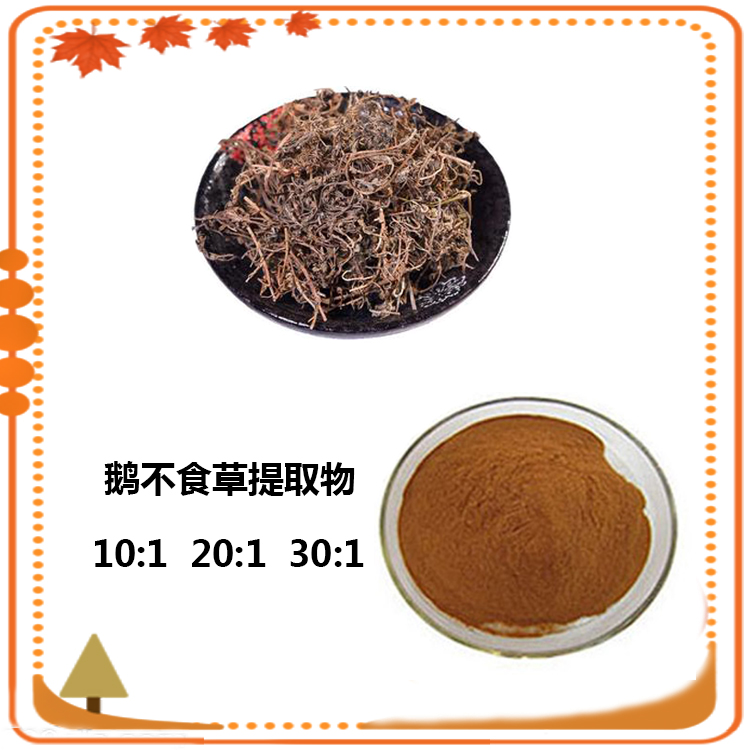 鹅不食草提取物 10:1 水提 沃特莱斯生物 鹅不食草浸膏