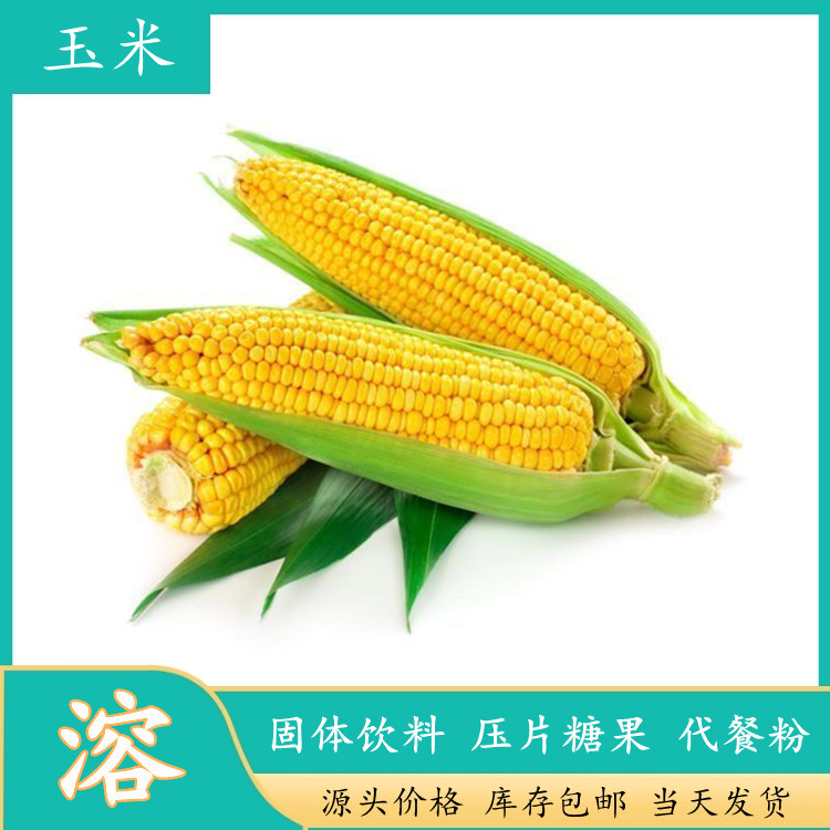 玉米肽 斯诺特生物 低聚肽水溶细粉 可拿样检测