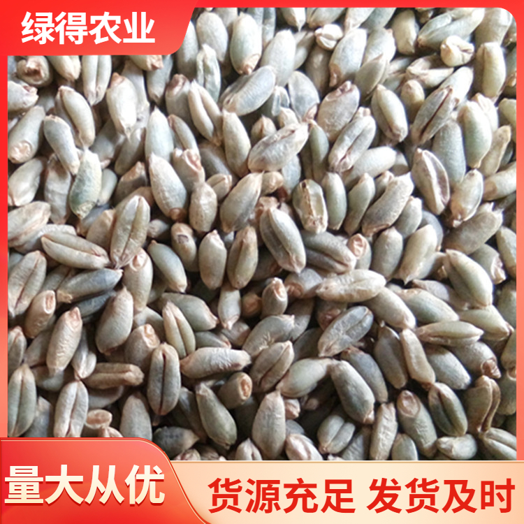 绿小麦咨询热线