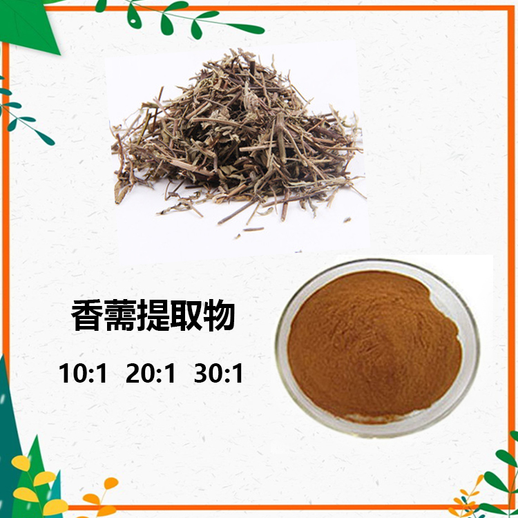 香薷提取物 10:1 水提 香薷浸膏 香薷浓缩粉 6倍浓缩
