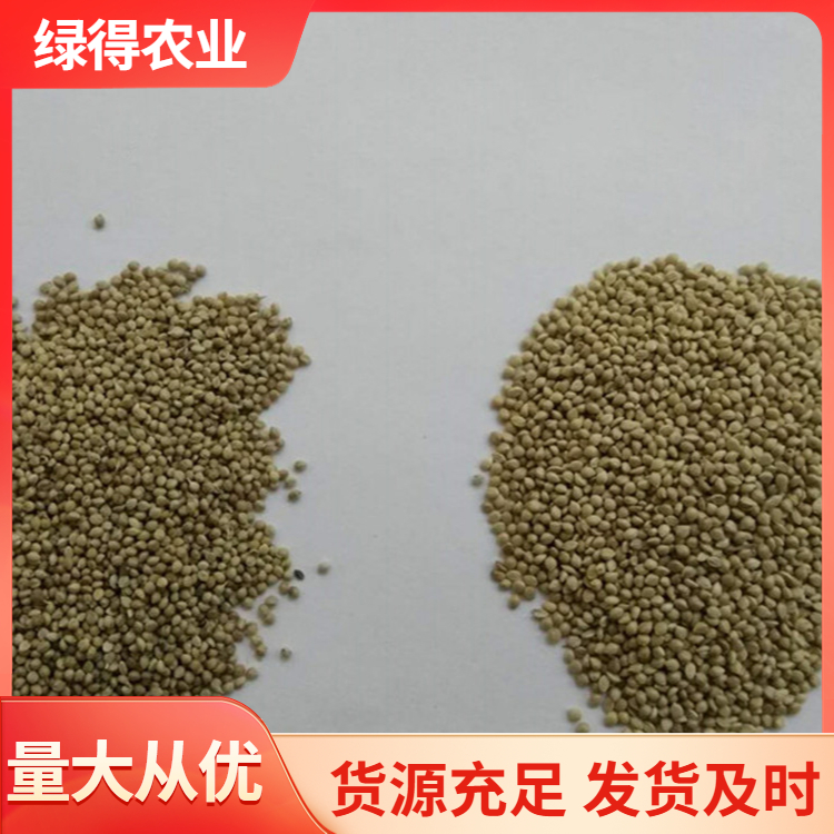 黑谷种厂家直销
