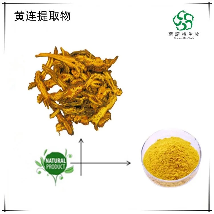 斯诺特生物 黄连浸膏 植物根萃取 浓缩粉 溶解于水