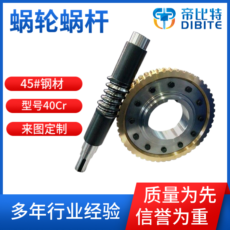 帝比特DBD 蜗轮蜗杆 非标微型涡轮 来图定制送料螺杆