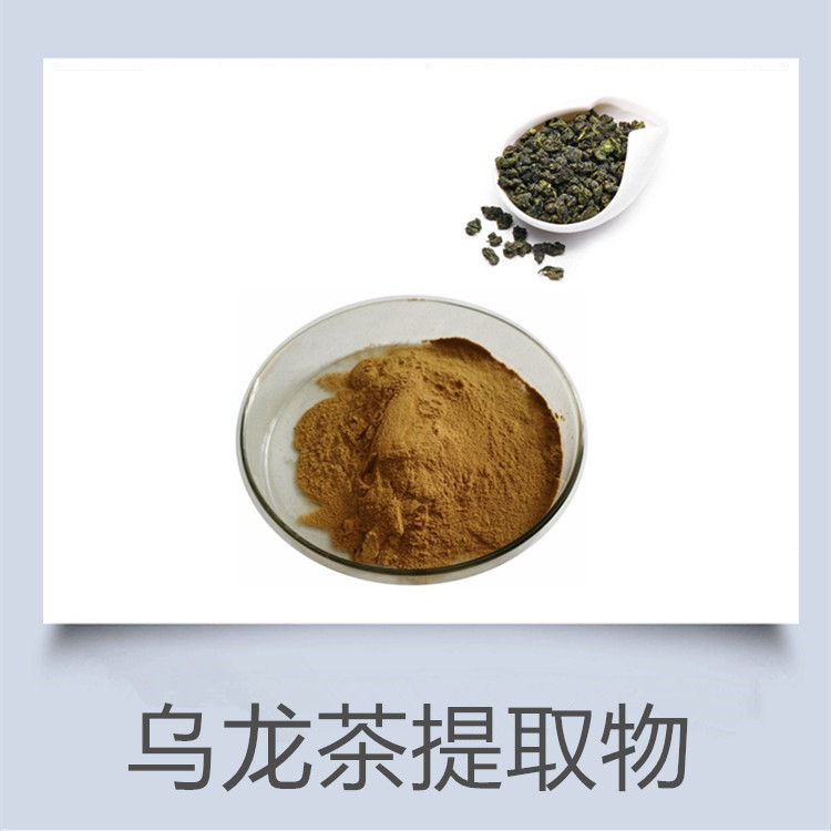 乌龙茶粉 红茶提取物 绿茶提取物 苦丁茶粉 金花茶粉