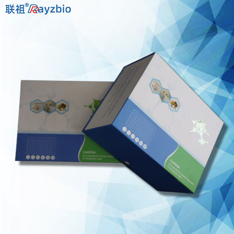 Cath Ab组织蛋白酶抗体ELISA试剂盒