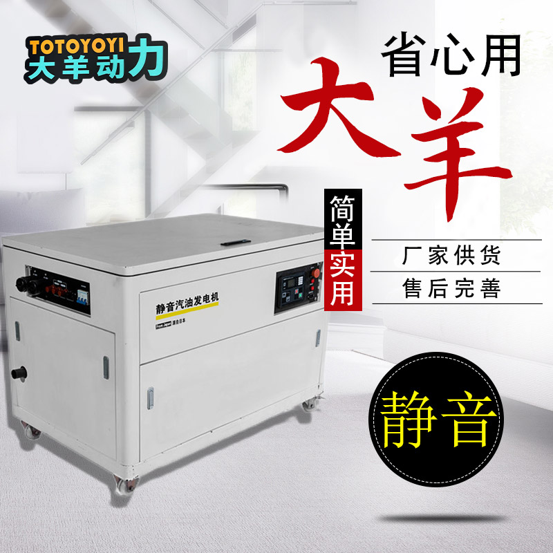 大羊动力30KW燃气发电机