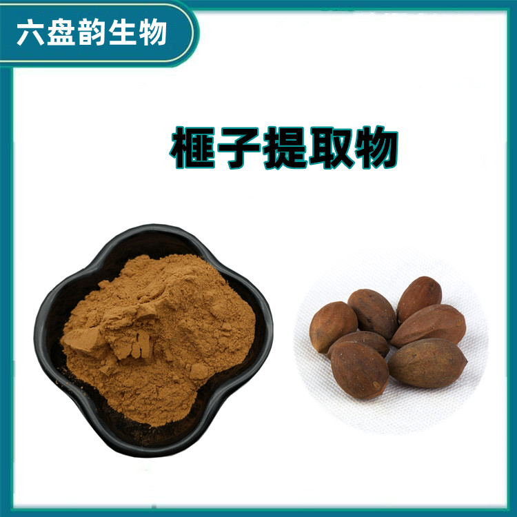榧子提取物 厂家供应 水溶效果好 可做固体饮料 纸板桶包装