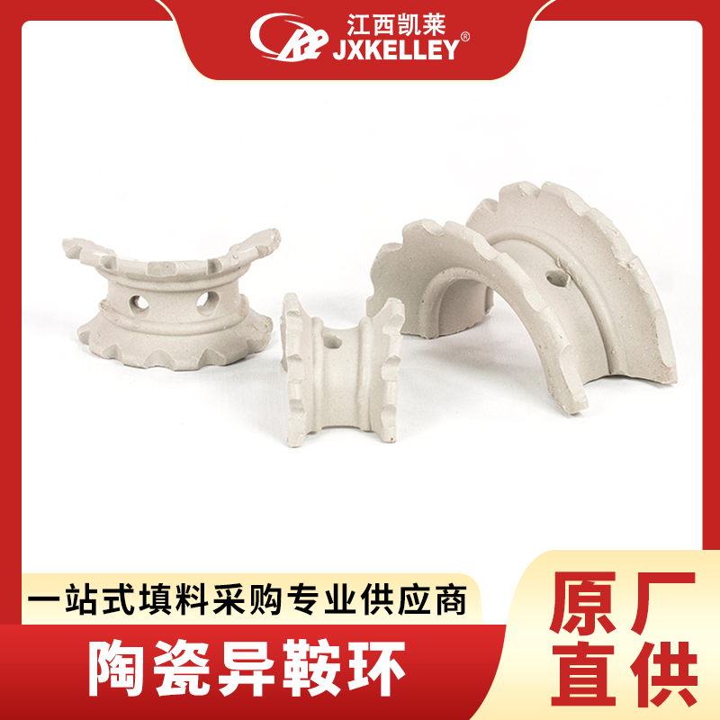 陶瓷异鞍环 耐高温干吸塔散堆填料 规格25mm38mm50mm76mm