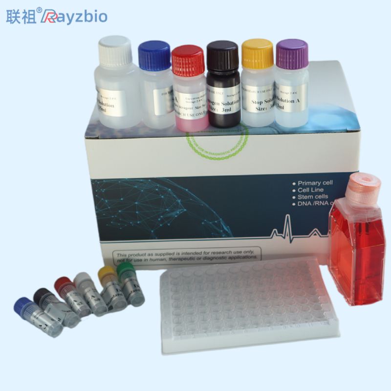 PCR扩增试剂盒价格