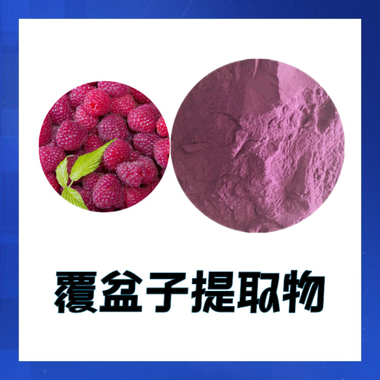 覆盆子提取物 六盘韵生物 果蔬粉资质齐全 质量稳定 粉末细腻疏松