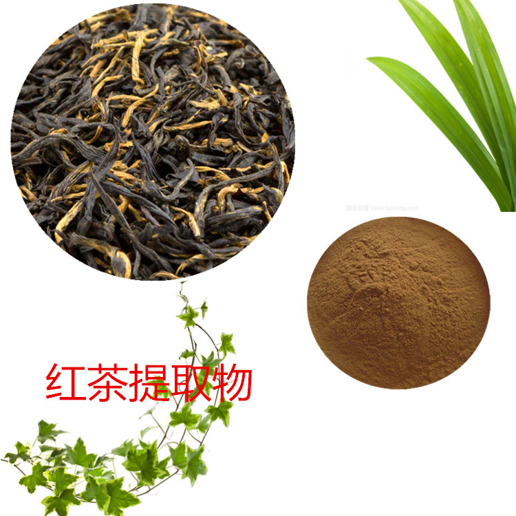 红茶浓缩粉 红茶菌粉 98% 红茶提取物 10:1 水提