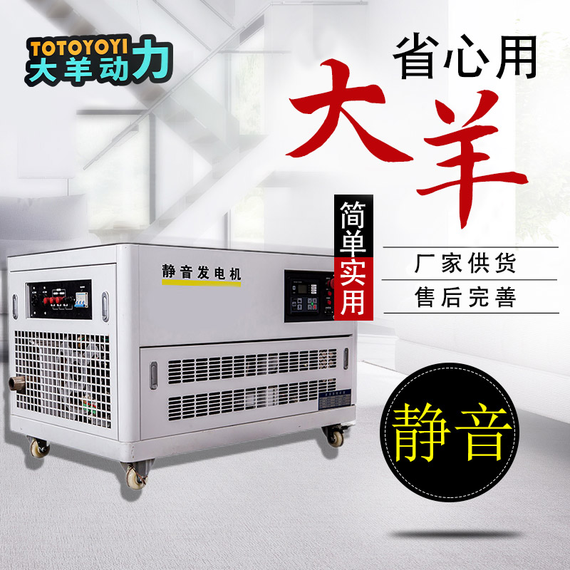 大羊动力6KW燃气发电机