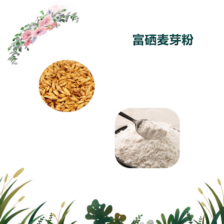 沃特莱斯生物 富硒麦芽粉 水溶性粉末 厂家直供 1公斤起订
