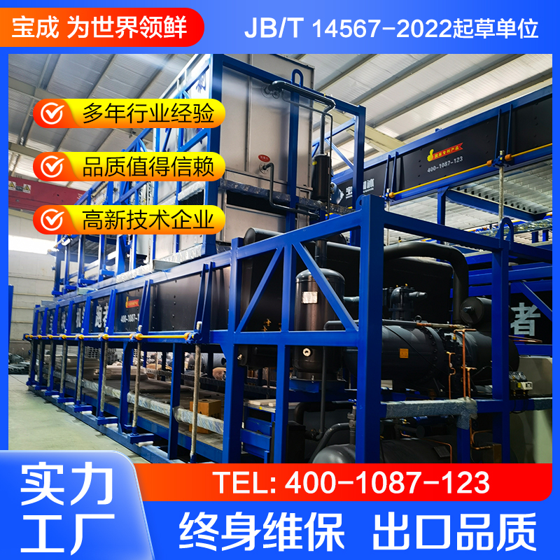 宝成 蔬菜降温制冰机 水产养殖 块冰机 工业用大型条冰机