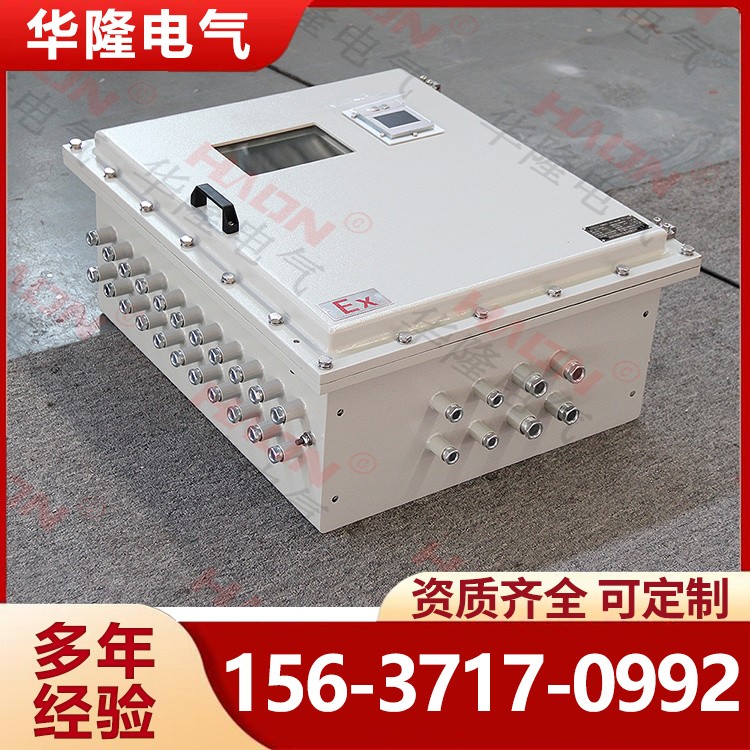 防爆仪表箱 检修电源控制箱 不锈钢插座仪表箱